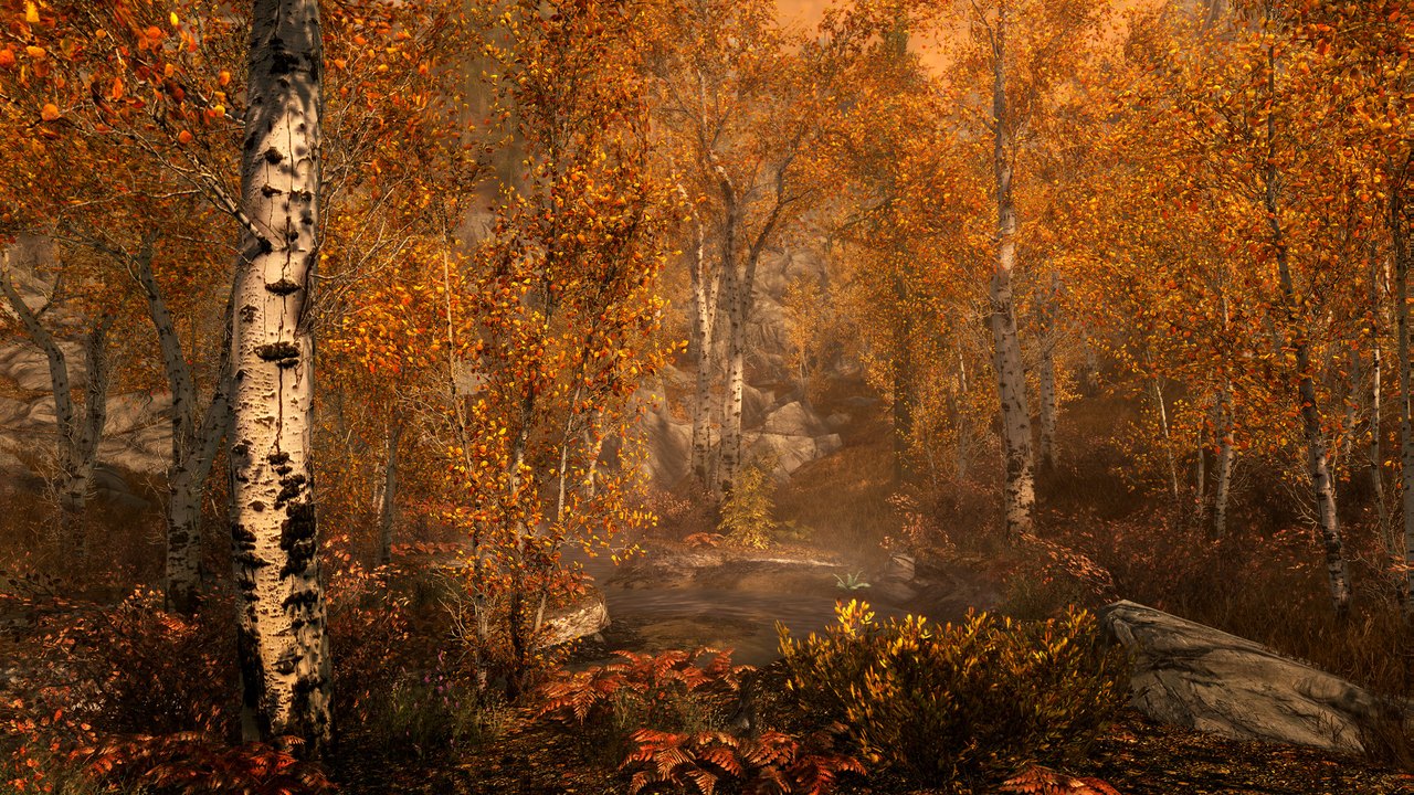 Skyrim: Return to Cyrodiil 3